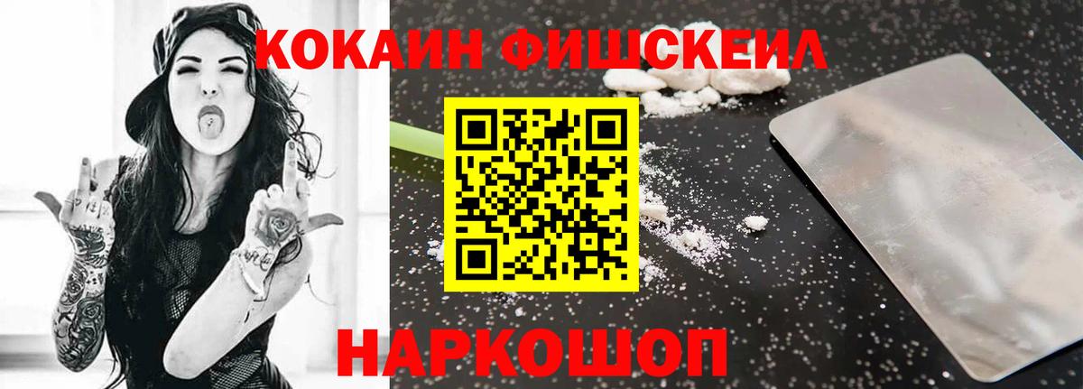 купить закладку  Вход с VPN  Cocaine Fish Scale  КОКАИН  Елец  Кокаин 99% 