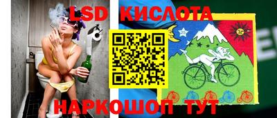 стаф Гусев