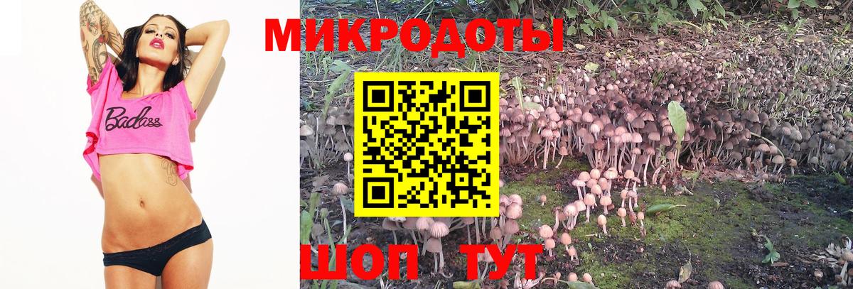 Елец  Галлюциногенные грибы прущие грибы  Вход с VPN 